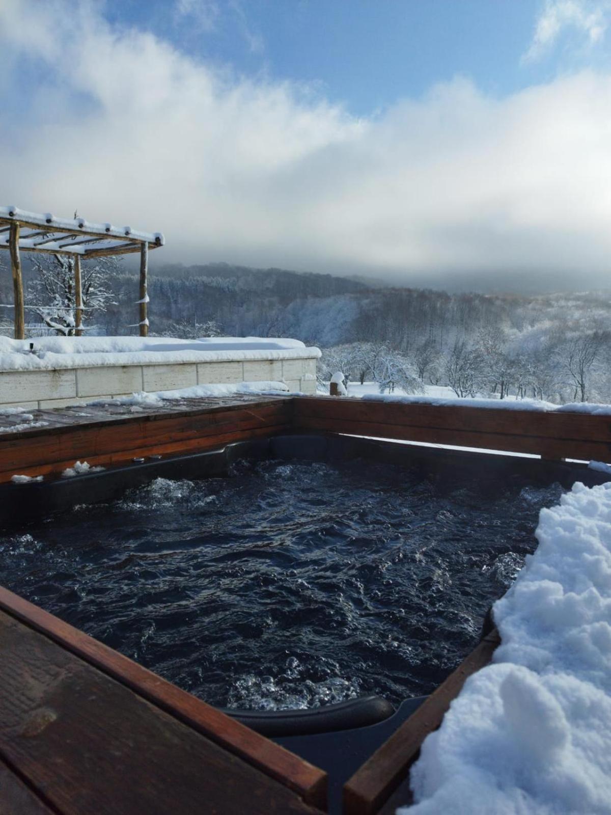 Le Chalet M - Cabana Cu O Panorama De Poveste. Surdesti  Esterno foto